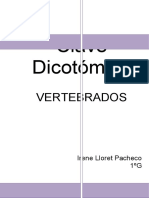 Clave Dicotómica-Vertebrados