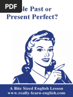 Simple Past Present Perfect?: A Bite Sized English Lesson