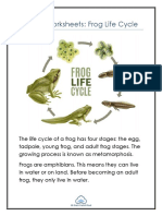 Frog Cycle PDF