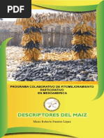 Descriptores de Maiz PDF