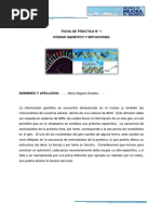 4B2 - Segura Grados - 2-Ficha de Práctica 1-Código Genético y Mutaciones