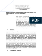 Alegatos de Defensa - Caso Sandrita