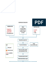 Pathophysiology of Dengue Fever