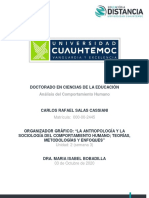 CARLOS SALAS - 3.2 ORGANIZADOR GRÁFICO - La Antropología y La Sociología Del Comportamiento Humano Teoría Metodologías y Enfoq