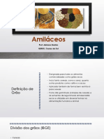 Matérias Primas - Amiláceos PDF