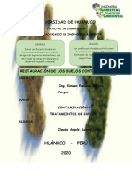 PDF Documento