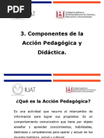 Componentes de La Acción Pedagógica y Didáctica