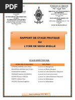 Rapport de Stage Def PDF