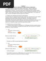 Capitulo 5 PDF