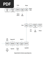 Diagrama de Flujo de Recubrimiento Con Goma Arábiga en Fresas