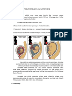 LP Antenatal