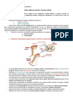 Functia Reflexa