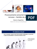 Sentido Da Visão PDF