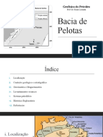 Bacia de Pelotas Geofísica Do Petróleo Atualizado