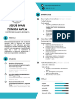 CV Jesús Iván Zúñiga Ávila