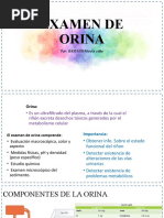 EXAMEN DE ORINA Jhoffan