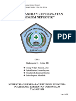 Kel 3 - Konsep Asuhan Keperawatan Sindrom Nefrotik