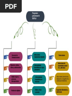 Mapa de Programas Prioritarios