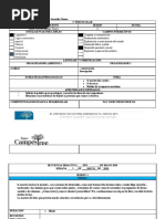 Formato Papalote 1°