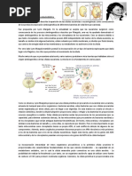 Teoría Endosimbionte