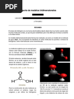 Modelos 3D in Silico