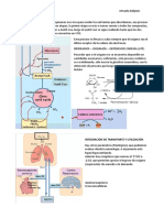 Resumen Bioquímica Clínica I