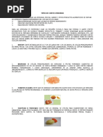 Tipos de Cortes Verduras