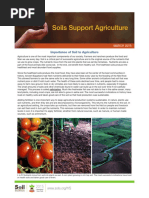 Importance of Soil To Agriculture