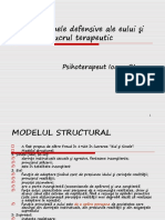 Mecanismele Defensive Ale Eului Şi Lucrul Terapeutic