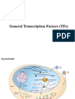 Transcription Factors