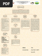 Mapa Conceptual Dencys