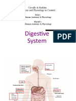 BMEN - Digestive System 2020