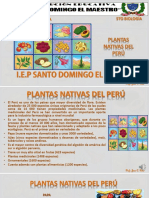 5B (1) PLANTAS NATIVAS DEL PERU (Autoguardado)