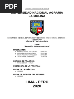 Informe Hidrocarburos