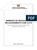 Relatorio Do Ambiente de Negocios e DPP