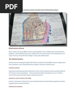 Biochemistry of Bone (Assignment)