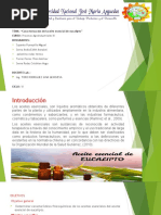 Caracteristicas de Aceite Esencial (Techi) 2