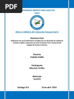 Trabajo Final Derecho Procesal Civil I