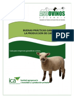 BPG Ovinos