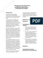 Informe Practica de Nutricion Vegetal