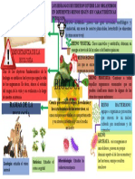 Mapa Mental Sobre La Biologia