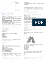 Soal Ipa Pernapasan Kelas 8