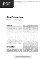 Risk Perception: Nicolai Bodemer and Wolfgang Gaissmaier