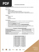 Cronograma y Rangos de Fechas - XI Programa Mentoring IIMP