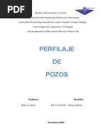 Perfilaje de Pozos