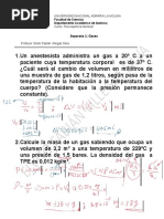 Separata 1 Gases