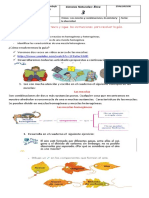 Naturales Guia 6 Mezclas