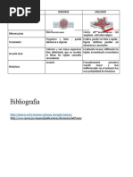 Cuadro Comparativo