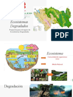 Mapa de Ecosistemas Degradados - 2019