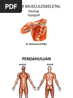 Sistem Musculoskeletal